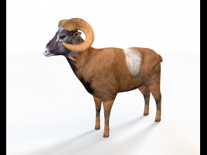 Brown Ram Sheep Rigged Low Poly Animal 3D Model