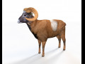 Brown Ram Sheep Rigged Low Poly Animal 3D Model