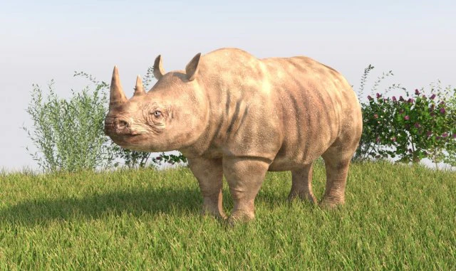 rhinoceros rigged low poly animal 3D Model .c4d .max .obj .3ds .fbx .stl .blend 
