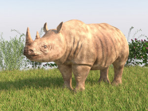 rhinoceros rigged low poly animal 3D Model