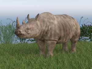 rhinoceros rigged low poly animal Model 3D