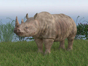 rhinoceros rigged low poly animal 3D Model