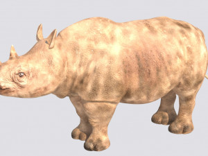 rhinoceros rigged low poly animal Model 3D