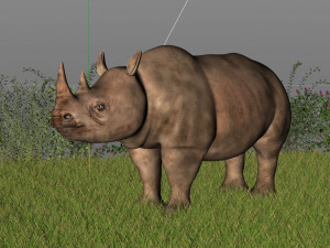 rhinoceros rigged low poly animal Model 3D