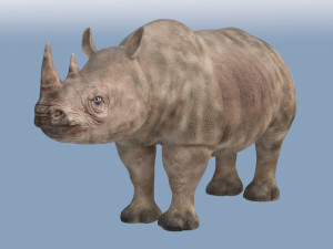 rhinoceros rigged low poly animal Model 3D