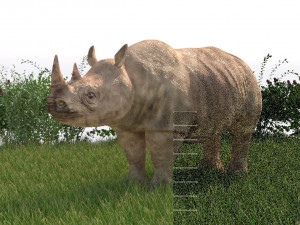 rhinoceros rigged low poly animal Model 3D