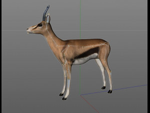 thompson gazelle rigged low poly animal 3D-Modell