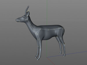thompson gazelle rigged low poly animal 3D-Modell