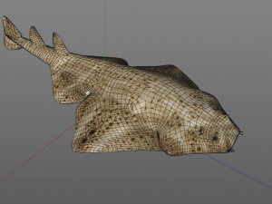 angel shark low poly fish Modèle 3D