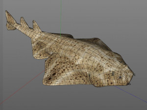 angel shark low poly fish Modèle 3D