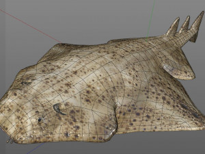 angel shark low poly fish Modèle 3D