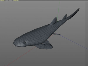 bamboo shark low poly fish 3D Модель
