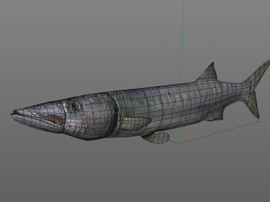 barracuda fish low poly Modelo 3D