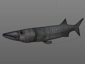 peixe barracuda baixo poli Modelo 3D