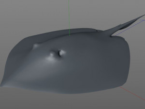 batoidea ray fish low poly 3D Model