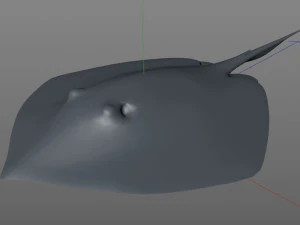 batoidea ray fish low poly 3D Model