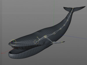blue whale rigged low poly Model 3D