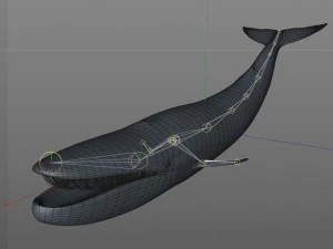 blue whale rigged low poly 3D Model