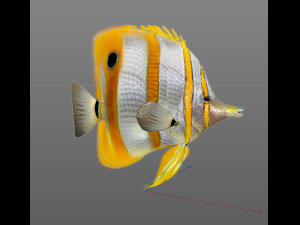 copper band butterfly fish low poly 3D Model