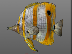 copper band butterfly fish low poly 3D Model