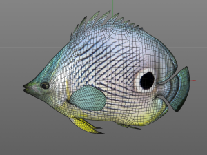 four eye butterfly fish low poly Modello 3D