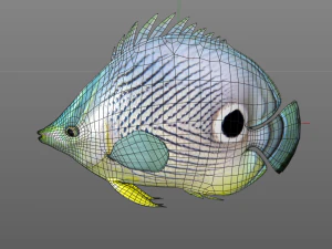 four eye butterfly fish low poly 3D Model