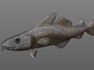 cod fish low poly 3D-Modell