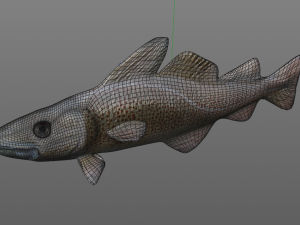 cod fish low poly 3D-Modell