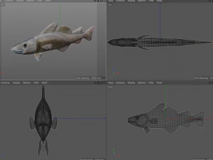 cod fish low poly 3D Model