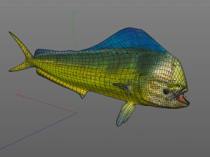 dorado mahi mahi fish low poly 3D Model