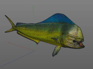 dorado mahi mahi fish low poly 3D Model
