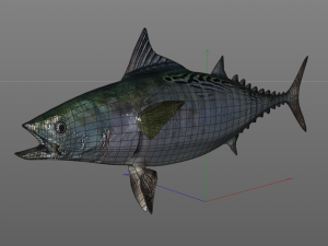 false albacore fish low poly Modelo 3D