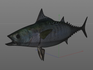false albacore fish low poly Modelo 3D
