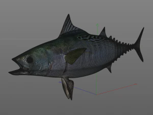 false albacore fish low poly 3D Model