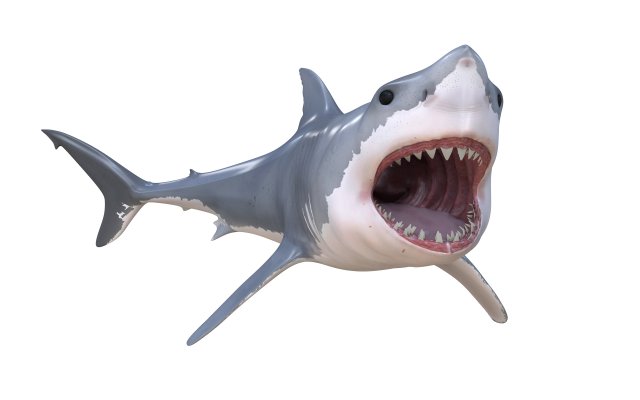great white shark high poly 3D Model .c4d .max .obj .3ds .fbx .stl .blend 