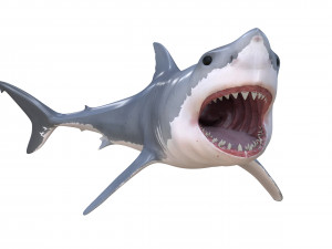 great white shark high poly 3D Model