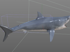 great white shark high poly 3D Model