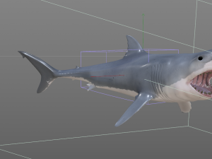 great white shark high poly 3D Model
