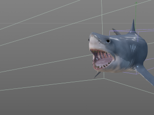 great white shark high poly 3D Model