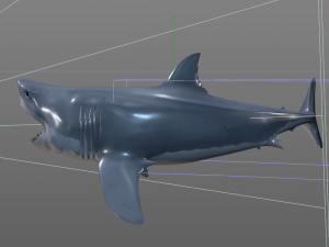 great white shark high poly 3D Model