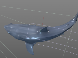great white shark high poly 3D Model