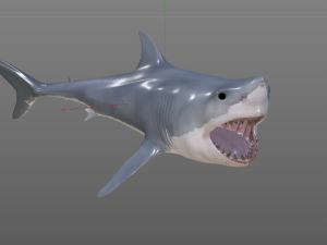 great white shark high poly 3D Model