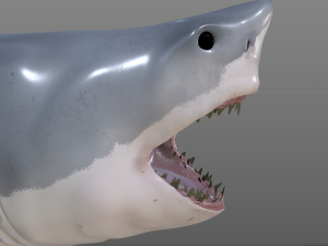 great white shark high poly 3D Model