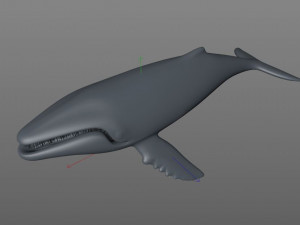 humpback whale rigged low poly Modelo 3D