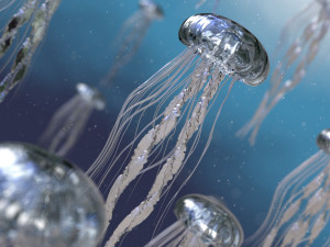jelly fish high poly 3D Model