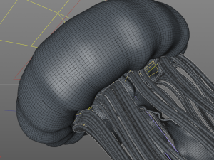 jelly fish high poly 3D Model
