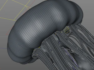 jelly fish high poly 3D Model
