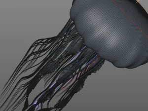 jelly fish high poly 3D Model