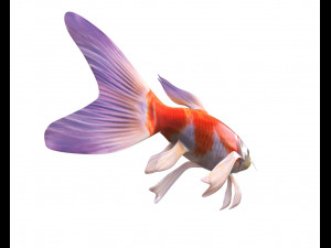 koi fish low poly 3D Model