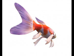 peixe koi baixo poli Modelo 3D